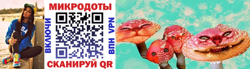 Галлюциногенные грибы мицелий  Махачкала 